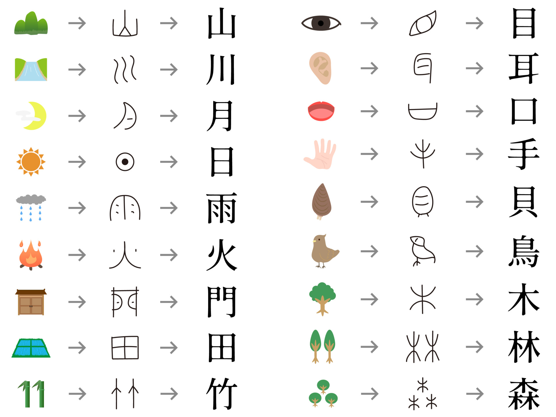 医師の診察を受ける時期